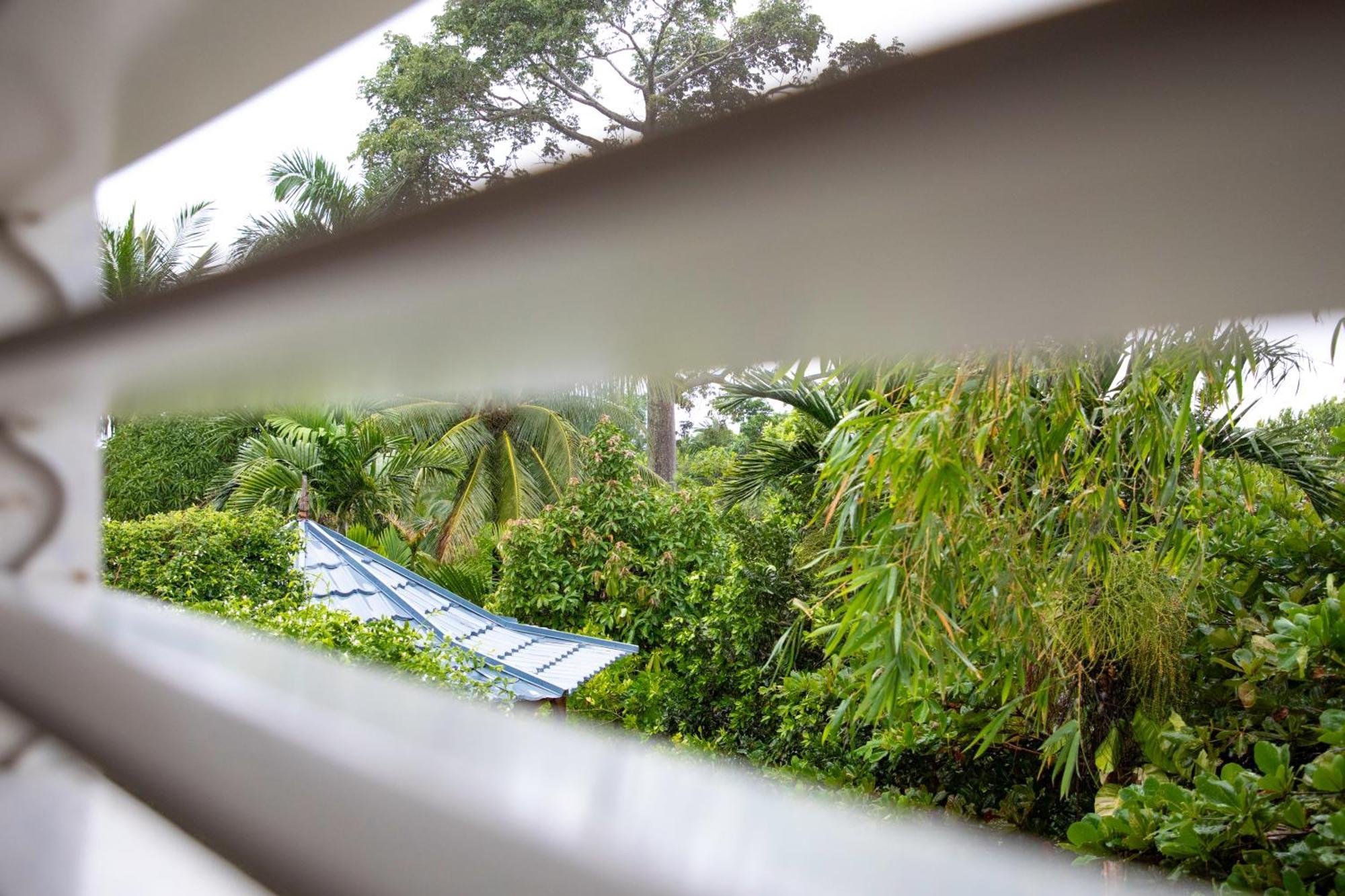 Lf Jungle Retreat Otel Drapers Dış mekan fotoğraf