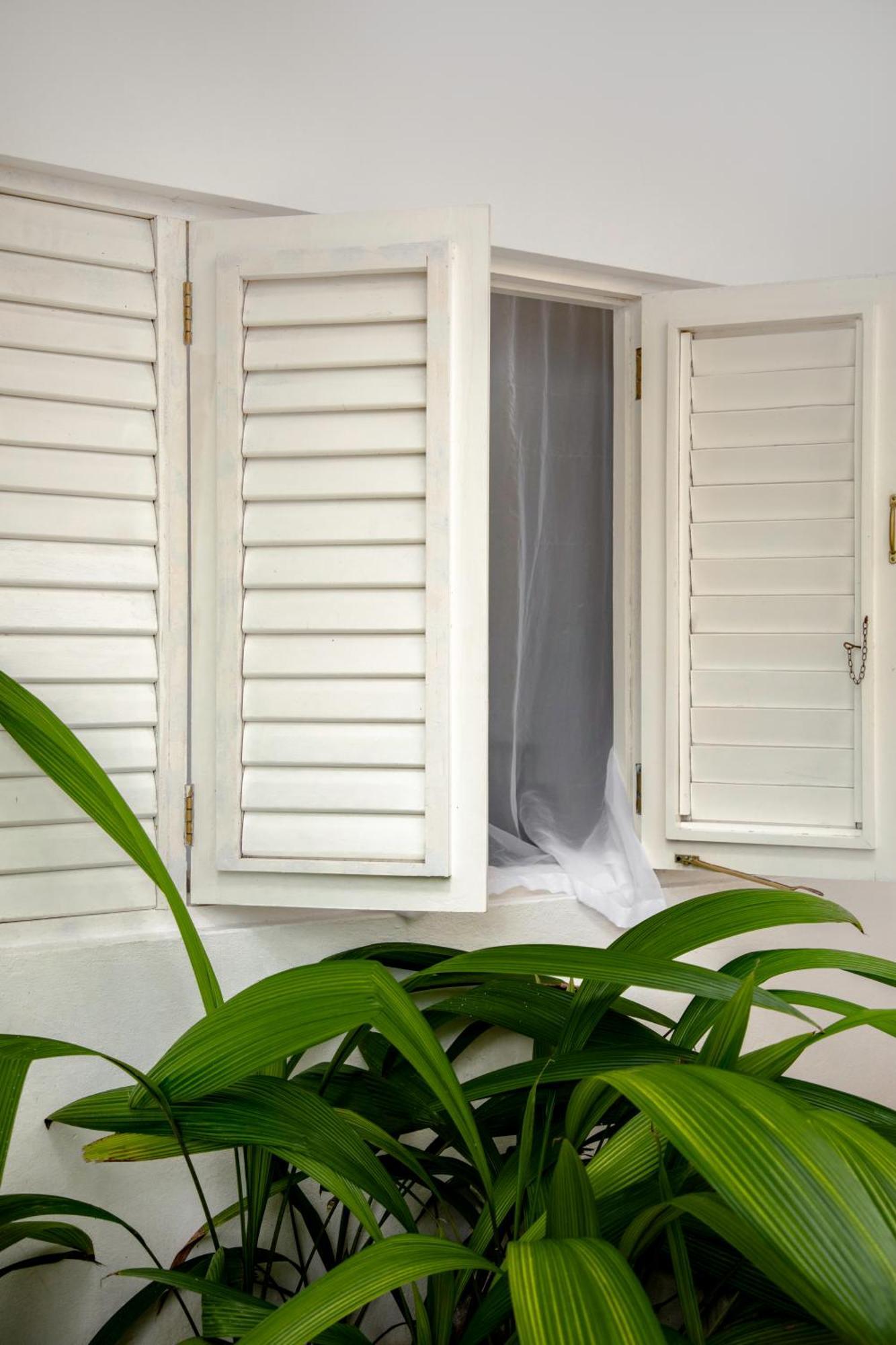 Lf Jungle Retreat Otel Drapers Dış mekan fotoğraf